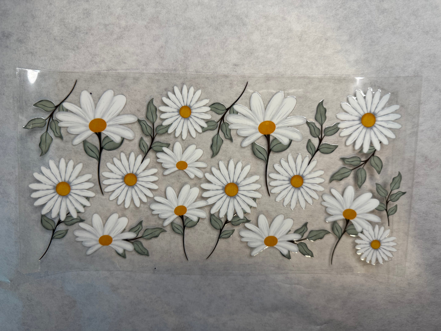 Daisy Flowers 2 Wrap for 16oz, 20oz, 24oz