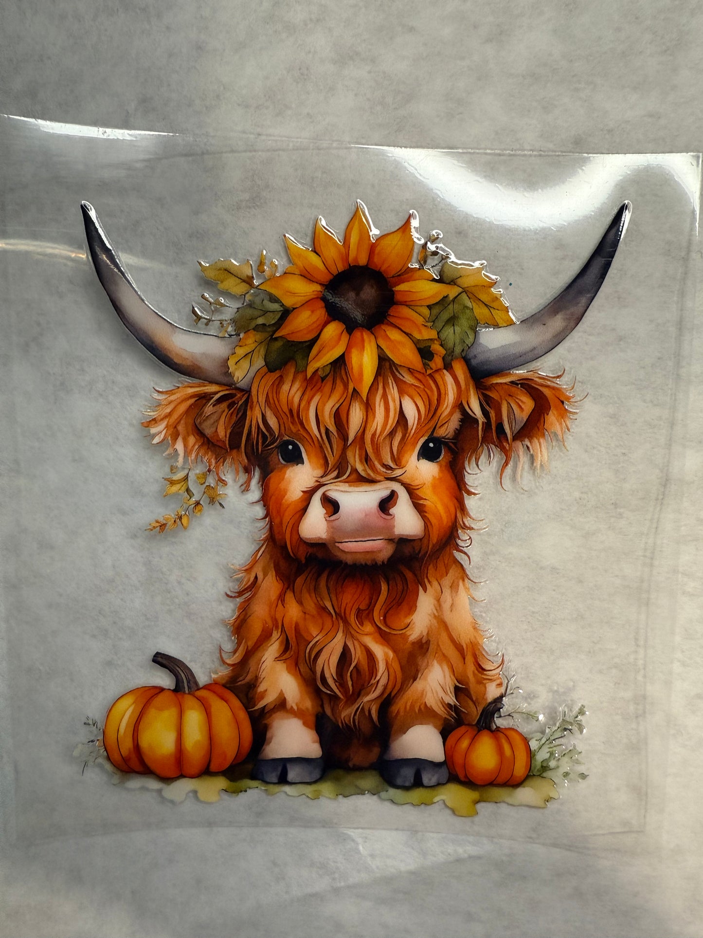 Highland Cow Decal for 16oz, 20oz, 24oz