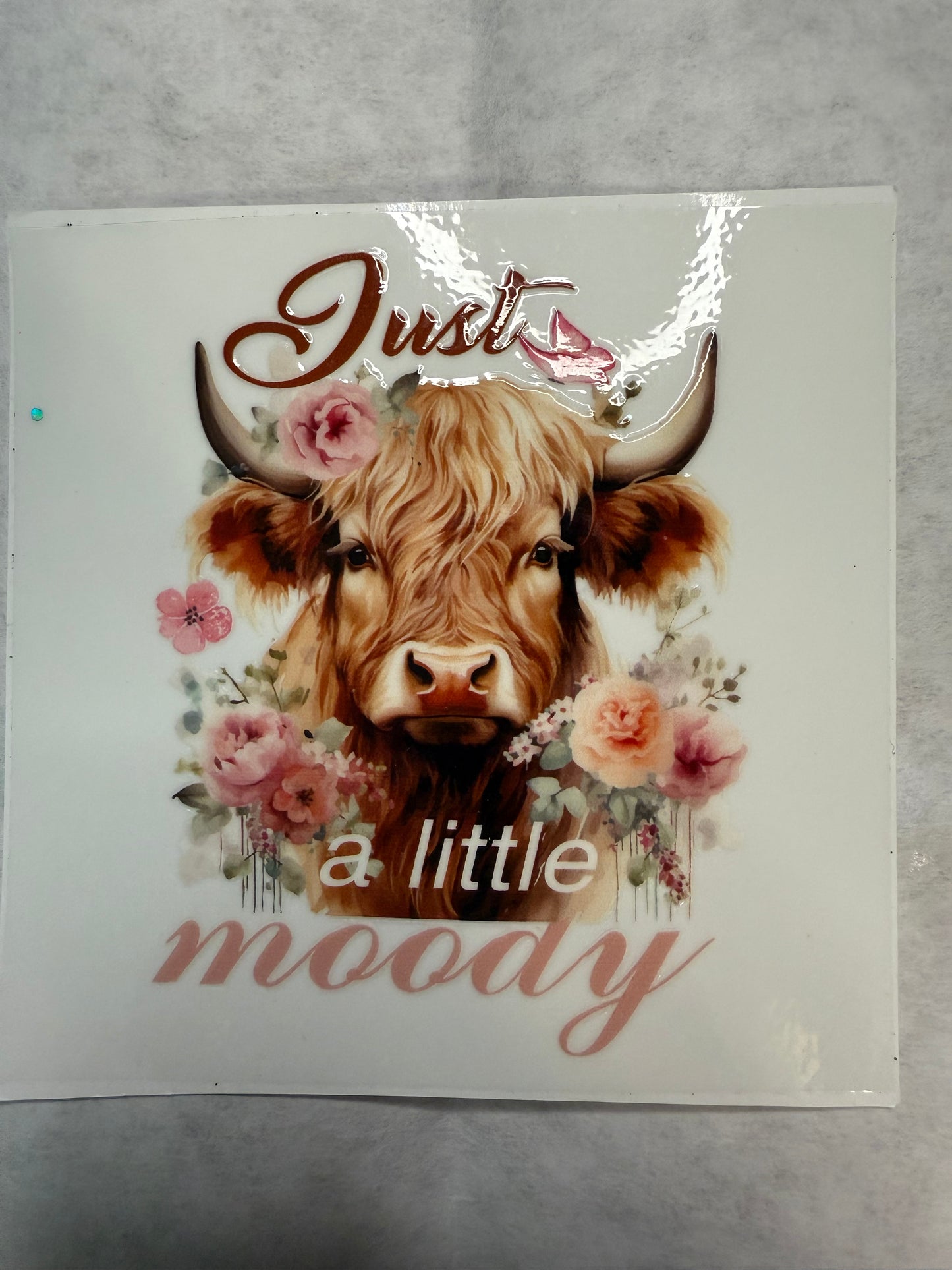 Just a Little Moody Decal for 16oz, 20oz, 24oz