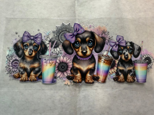 Dachsund Wrap for 16oz, 20oz